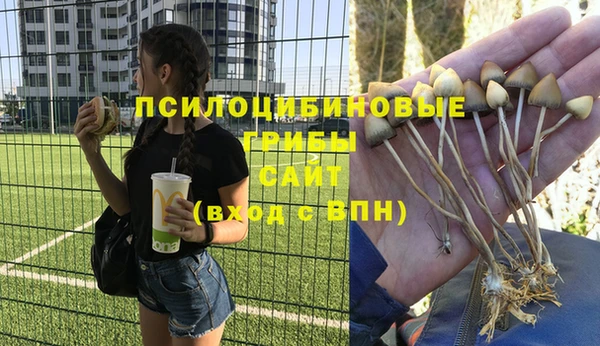 скорость Алзамай
