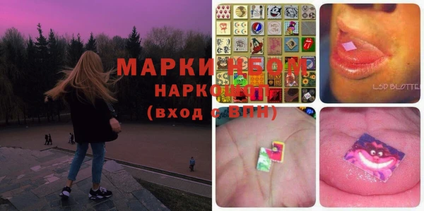 прущие грибы Алексин
