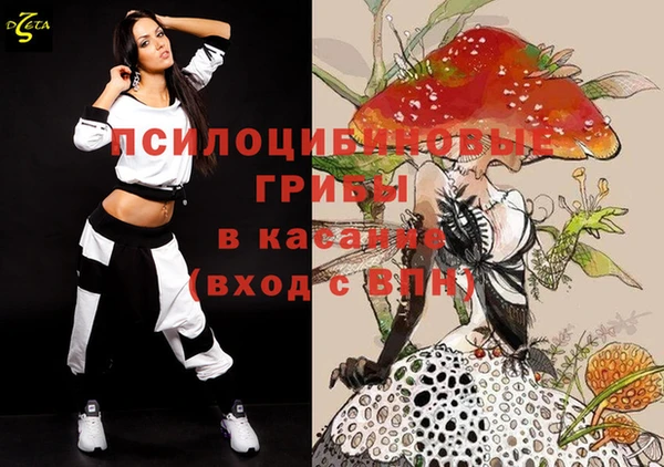 прущие грибы Алексин